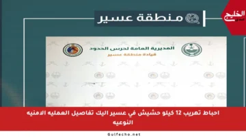 إحباط تهريب 12 كيلو حشيش في عسير إليك تفاصيل العملية الأمنية النوعية